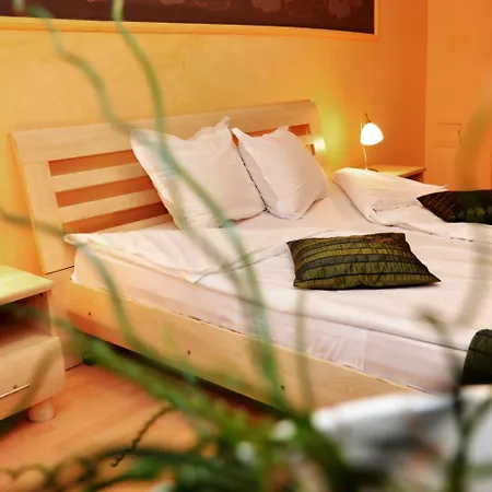 сорбона Варна